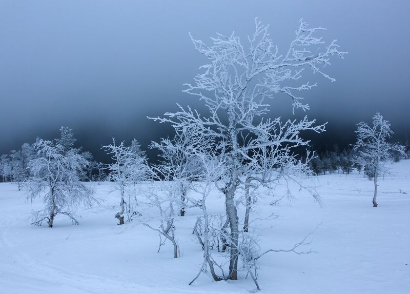 зима, горы, урал, деревья, снег, иней, облака, антон селезнев, путешествие На склоне Главного Уральского хребта фото превью