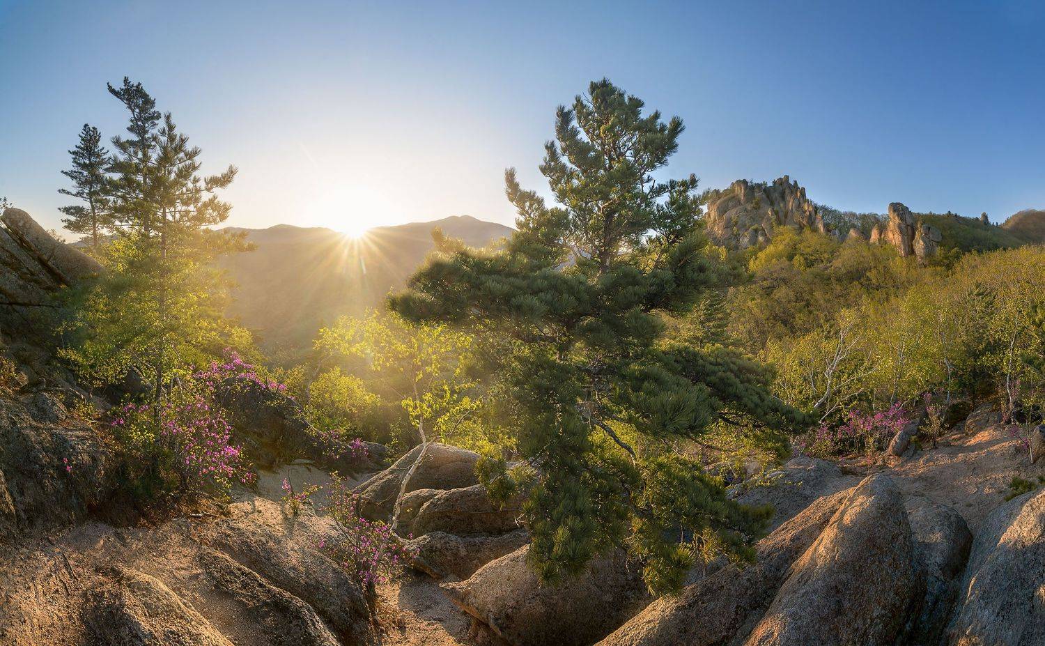 парк драконов, Шинкарева Елена