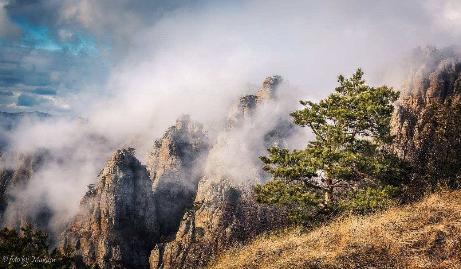 крым,landscape,travel,russia,демерджи, Алексей Самойленко