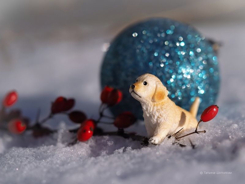 год 2018, год собаки, животные, зима, игрушки, макро, природа, снег, собачка, собачка с шариком, фигурка собачки, фигурки schleich, щенок, январь Новогодние хлопоты фото превью
