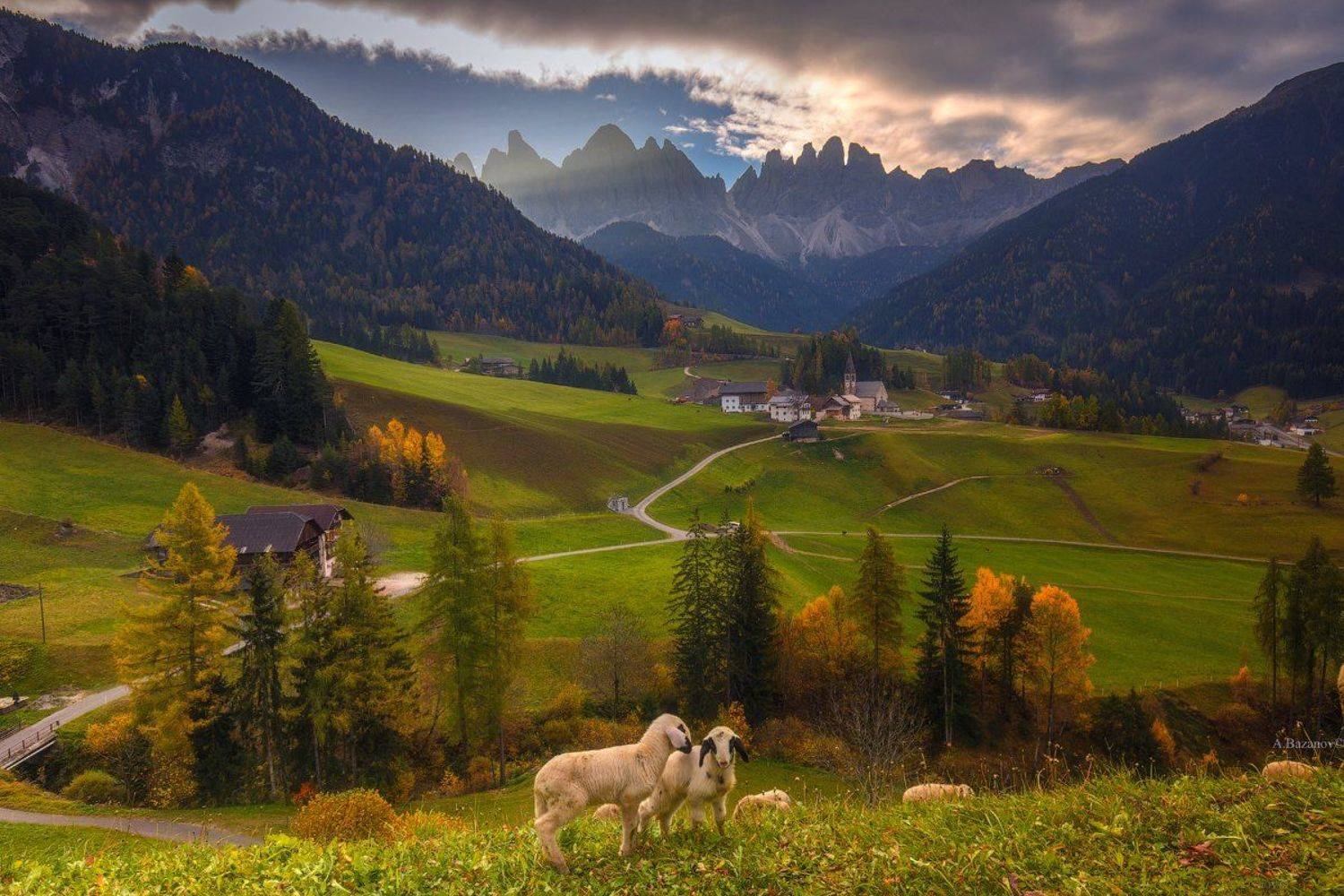 , Андрей Базанов