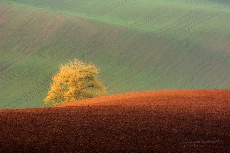 прикосновение солнца... фото превью