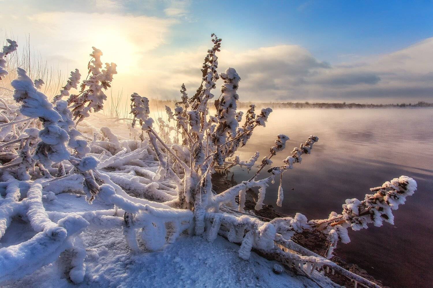 , Павел Сагайдак