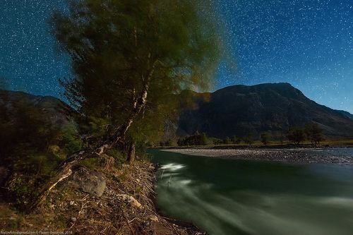 Чулышманский фён