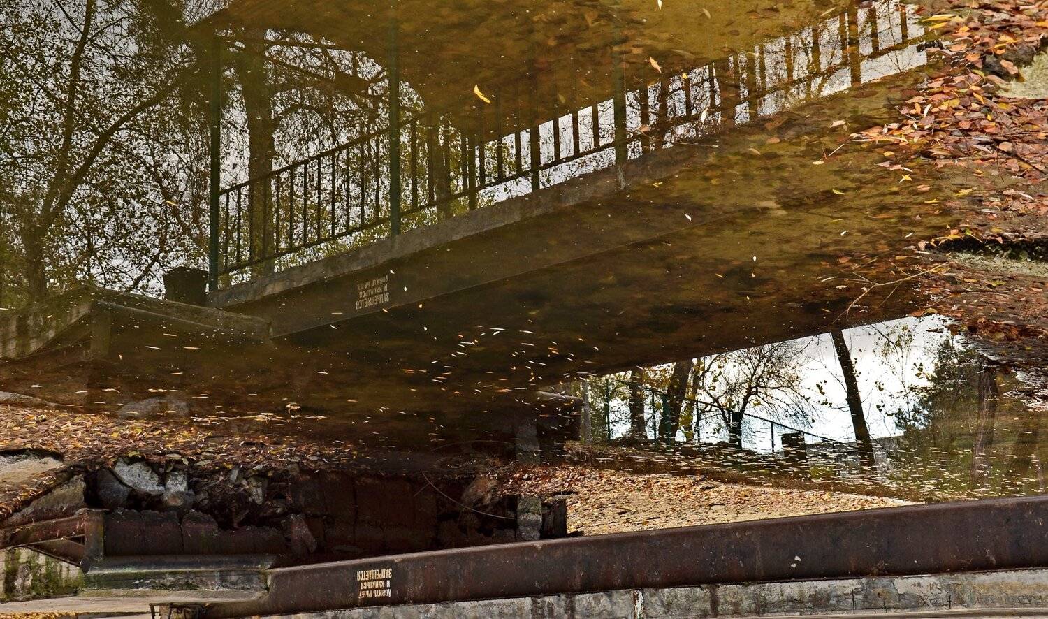 , Валерий Наумов