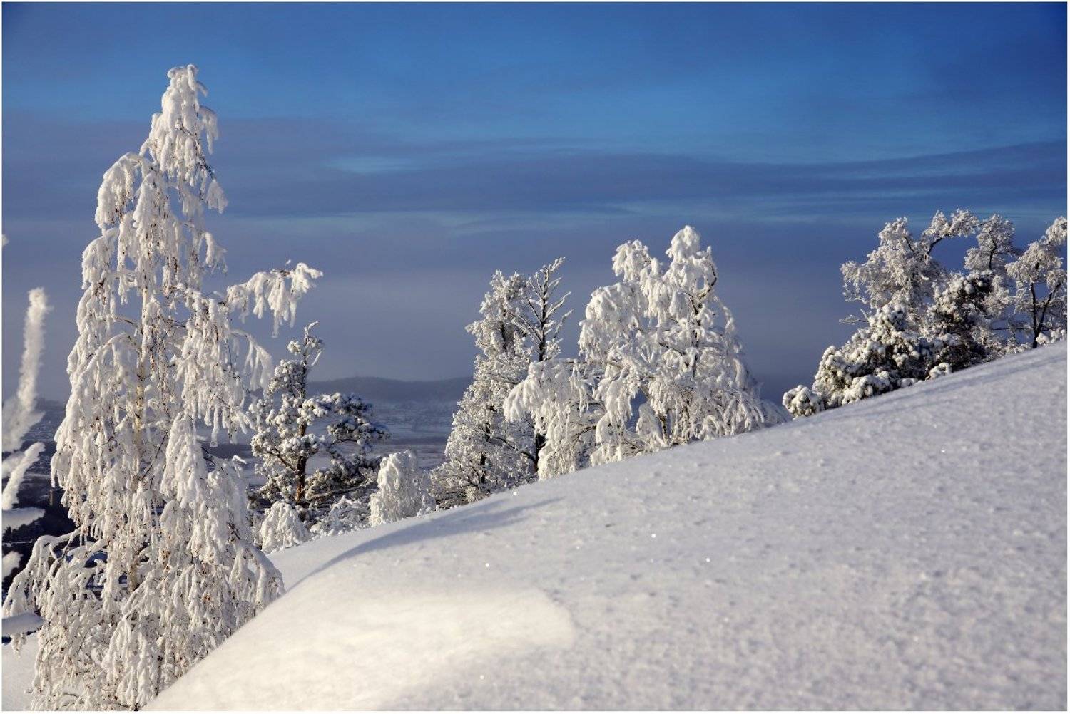 , Кондратьев Алексей