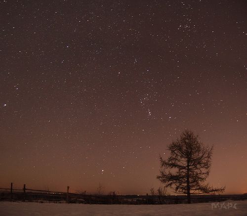 Год начался!