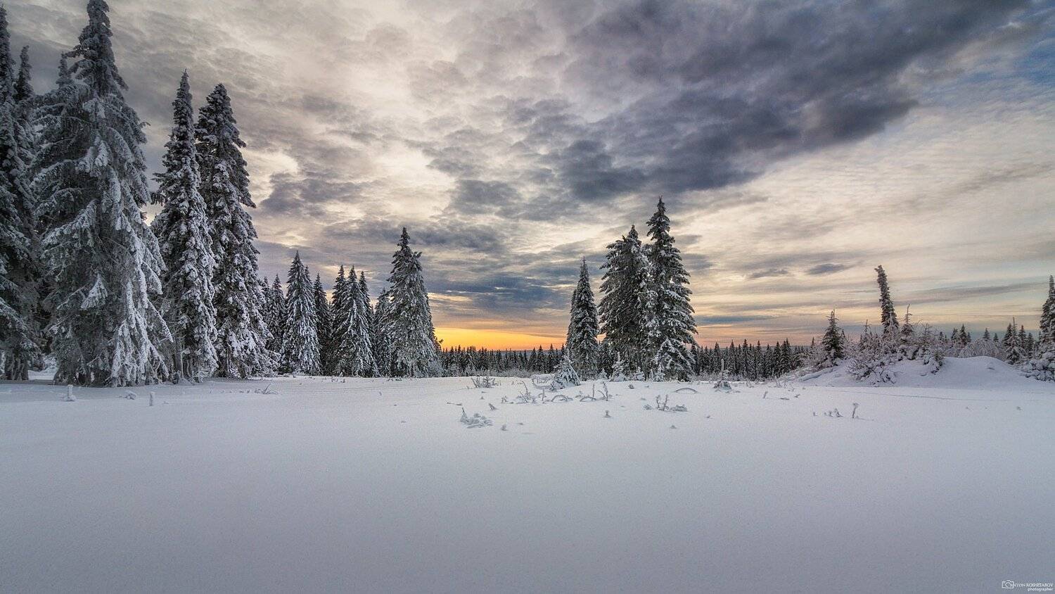зима,  небо,  елки,  снег, урал, пермский край, Антон Кошетаров