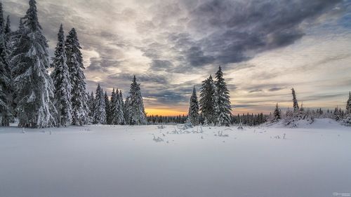 Зимнее небо