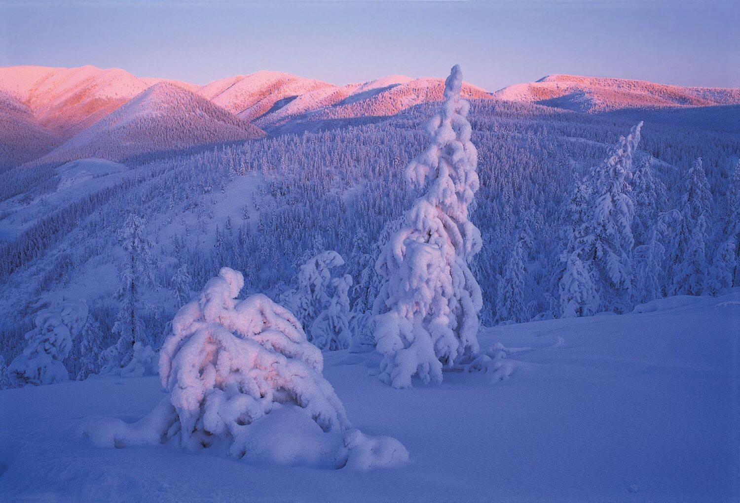 Фототуры с Владимиром Рябковым, Владимир Рябков