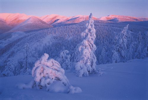 На сопках Якутии...