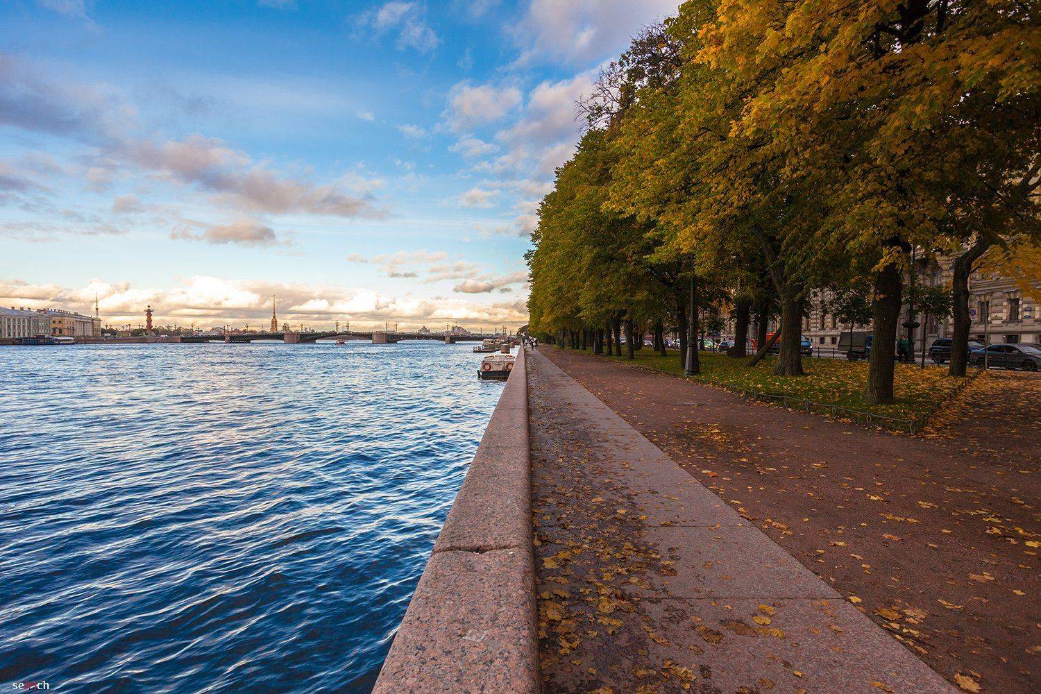 санкт-петербург, река, нева, осень, мост, небо, вода, деревья, листва, синее, желтое, Серш Сергей