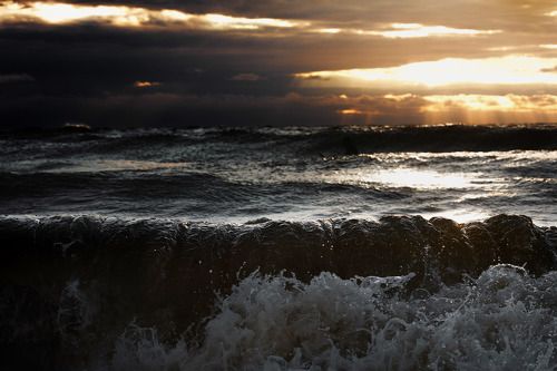 воздух свободы.