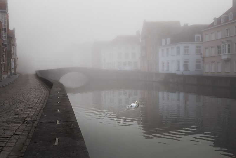 Первый проснувшийся житель фото превью