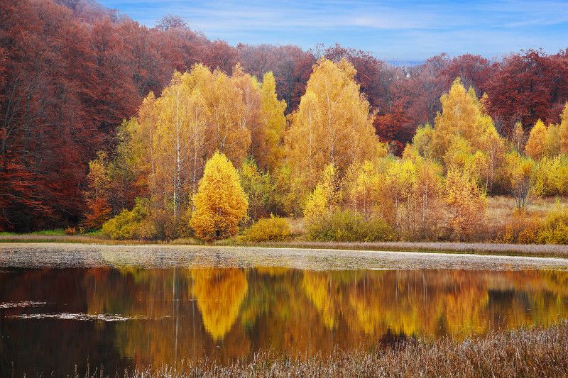 Осінь в Карпатах фото превью