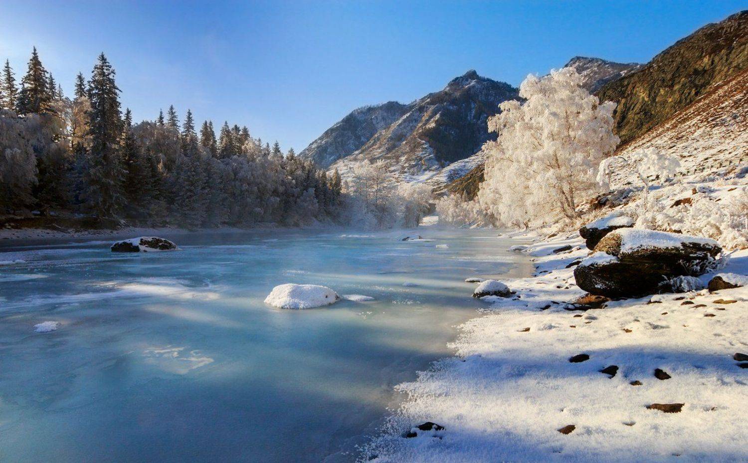 , Дмитрий Д.