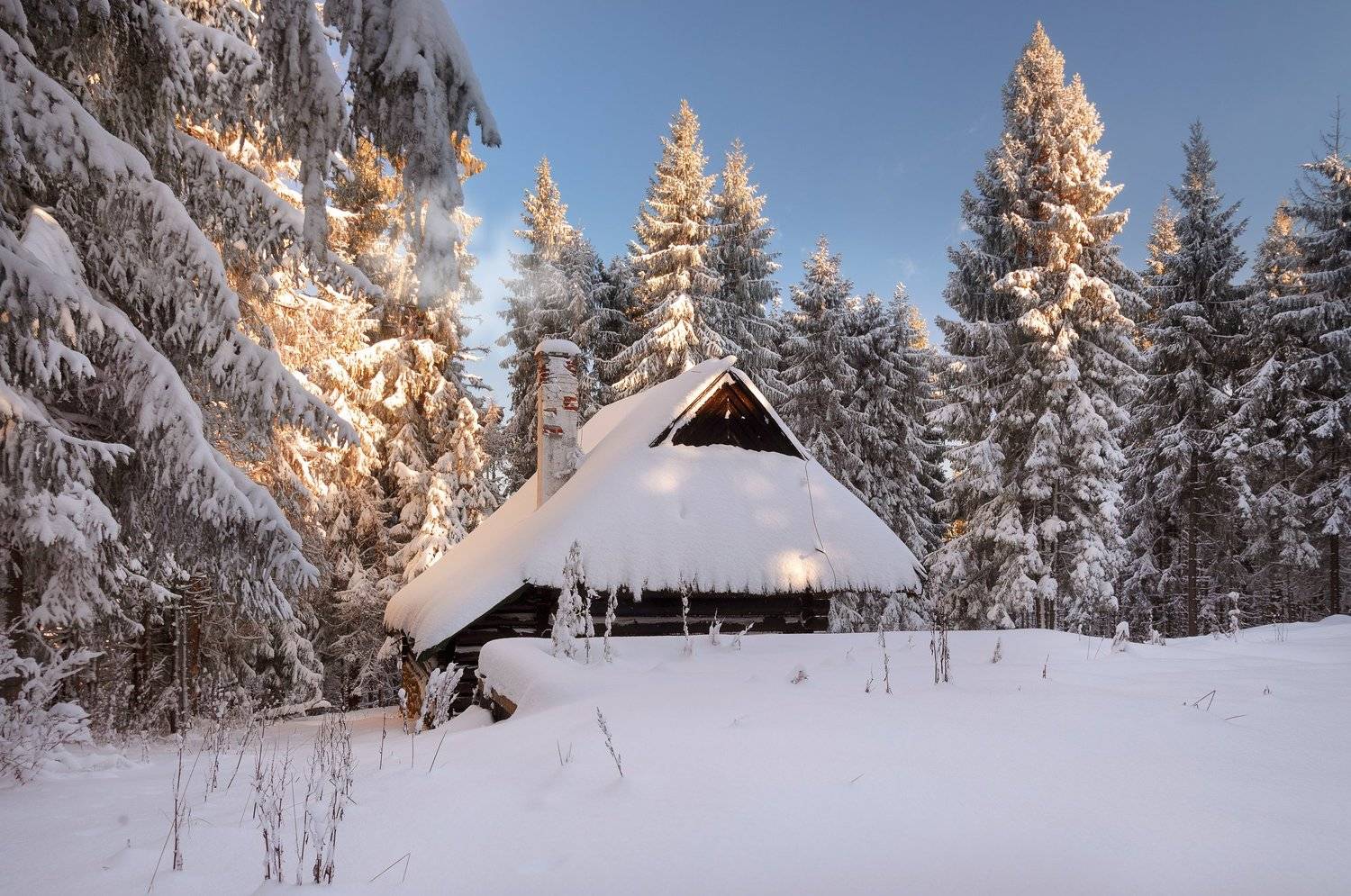 , Эдуард Гордеев