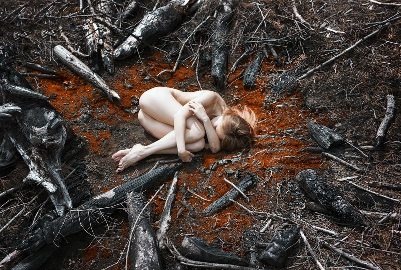 Solitude 17/2 фото превью