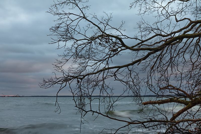 ЗАОСТРОВЬЕ фото превью