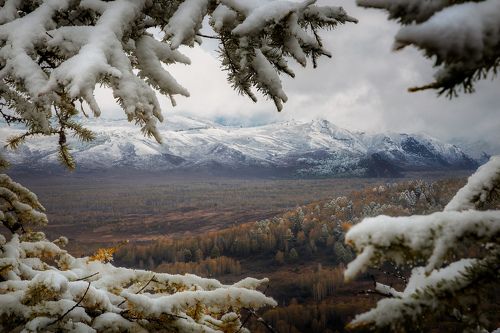 В обрамлении осени
