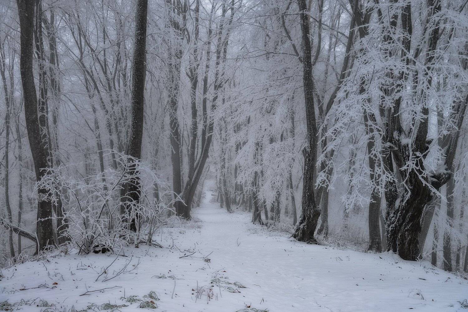 , Шевченко Юрий