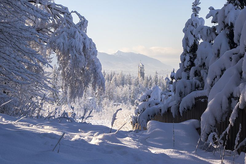 В снегах фото превью