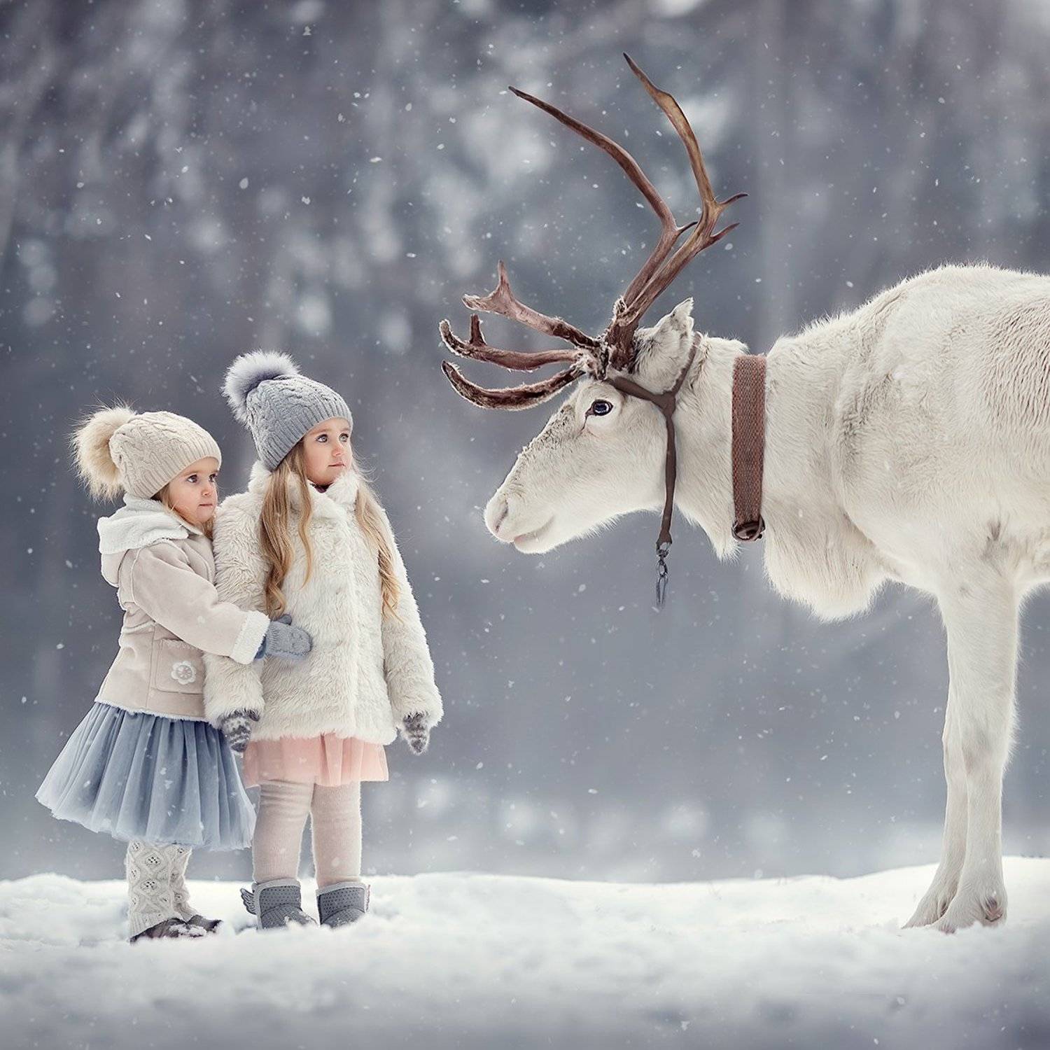 , Елена Михайлова