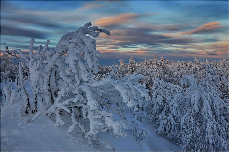Зима ..продолжение.. фото превью