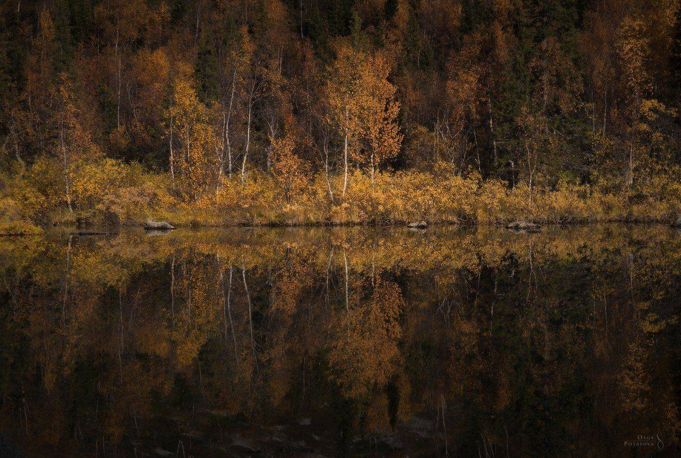 осень, заполярье, север, отражение, тайга, ловозёры, ловозерские тундры, кольский полуостров, сентябрь, Степаненко Ольга