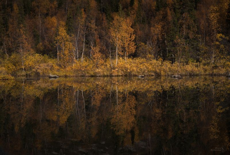 Заколдованный берег фото превью