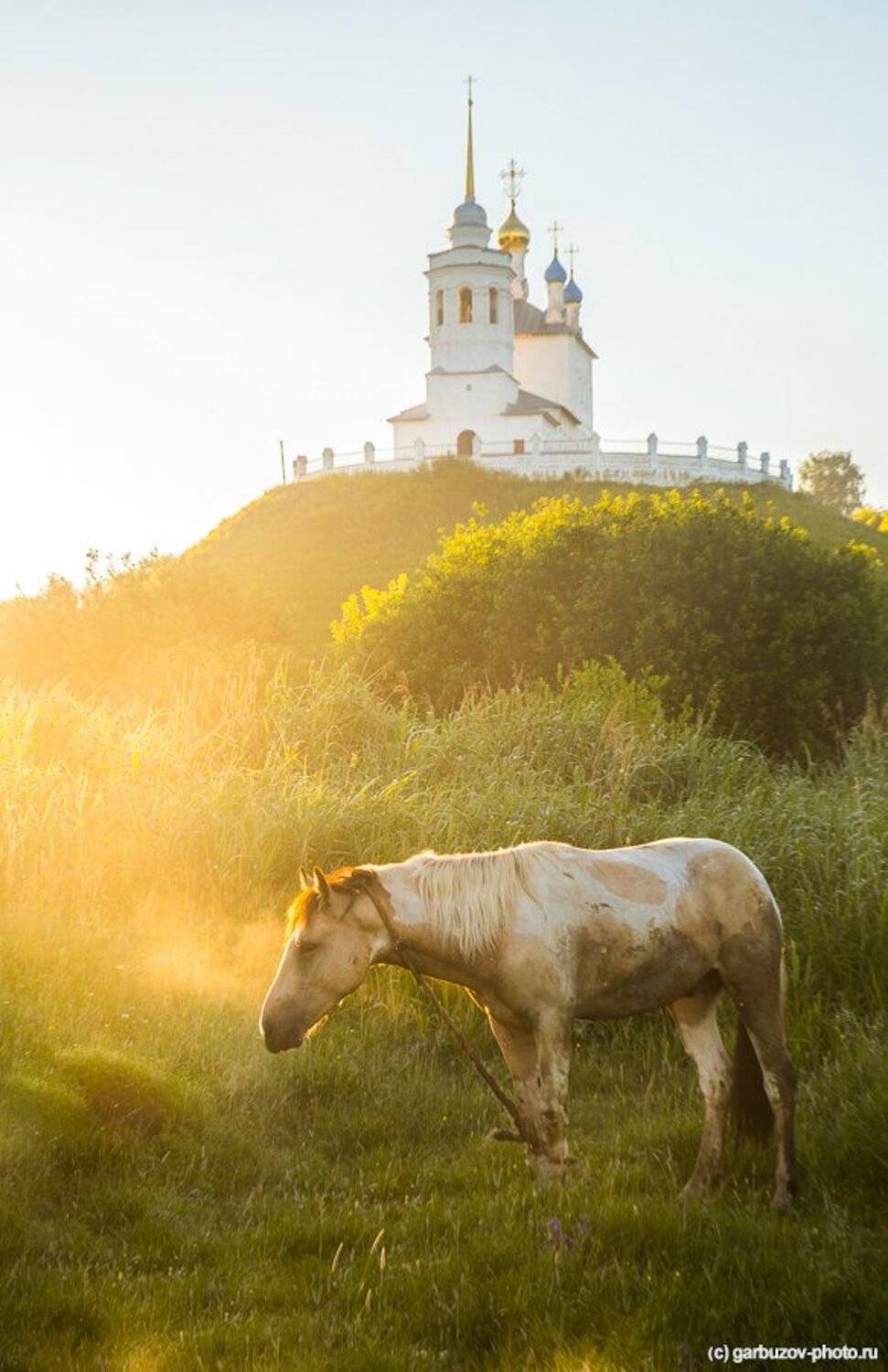 , Гарбузов Илья