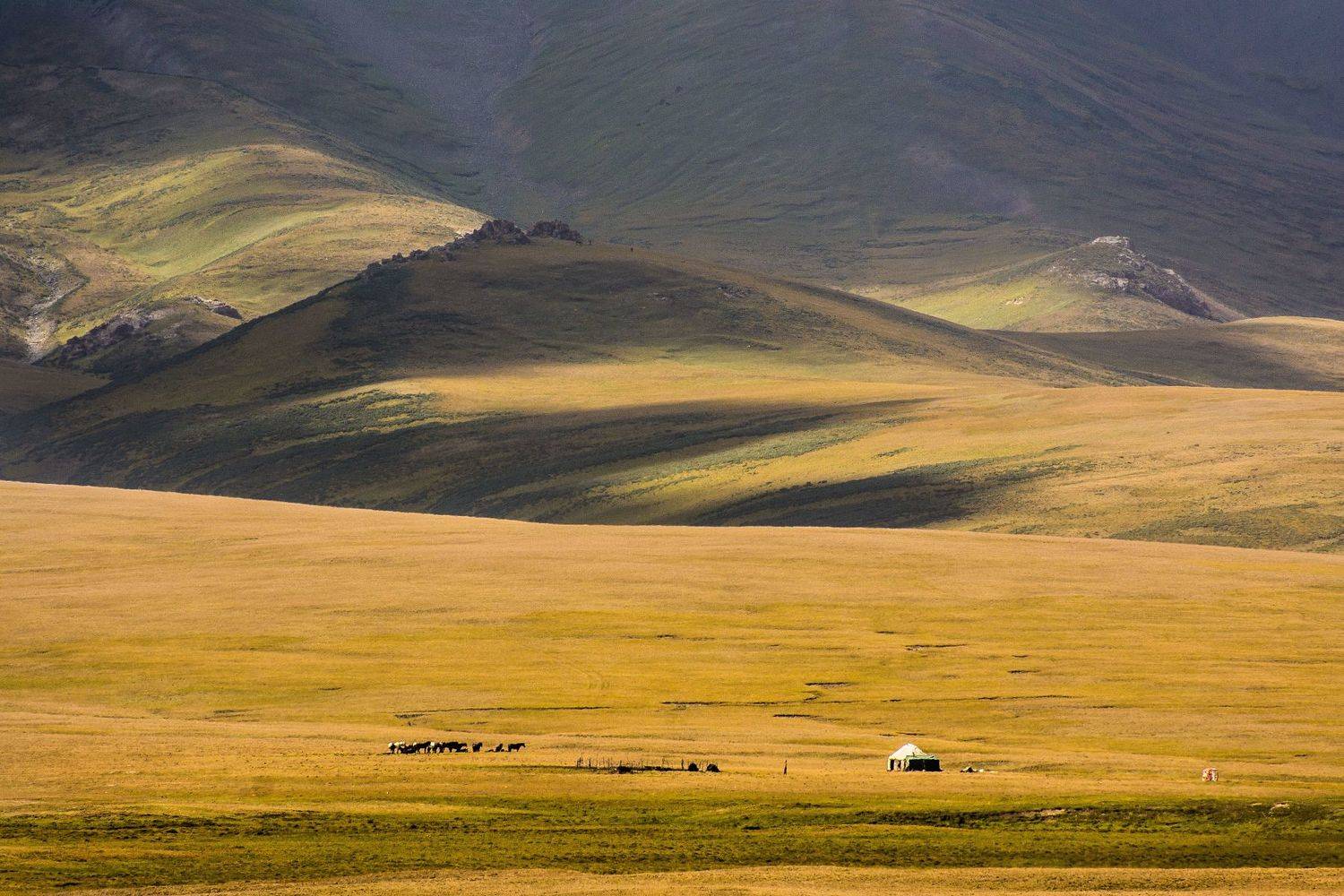 пастбище, горы, природа, пейзаж, юрта, Василий Шумкин