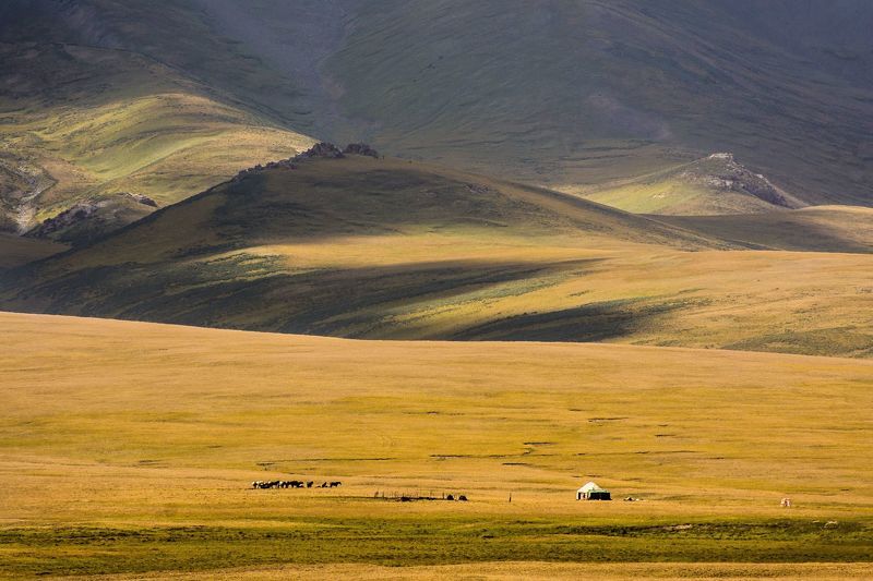 пастбище, горы, природа, пейзаж, юрта Высокогорное пастбище фото превью