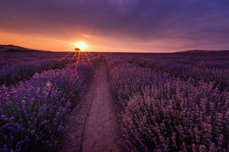 Летни спомени фото превью