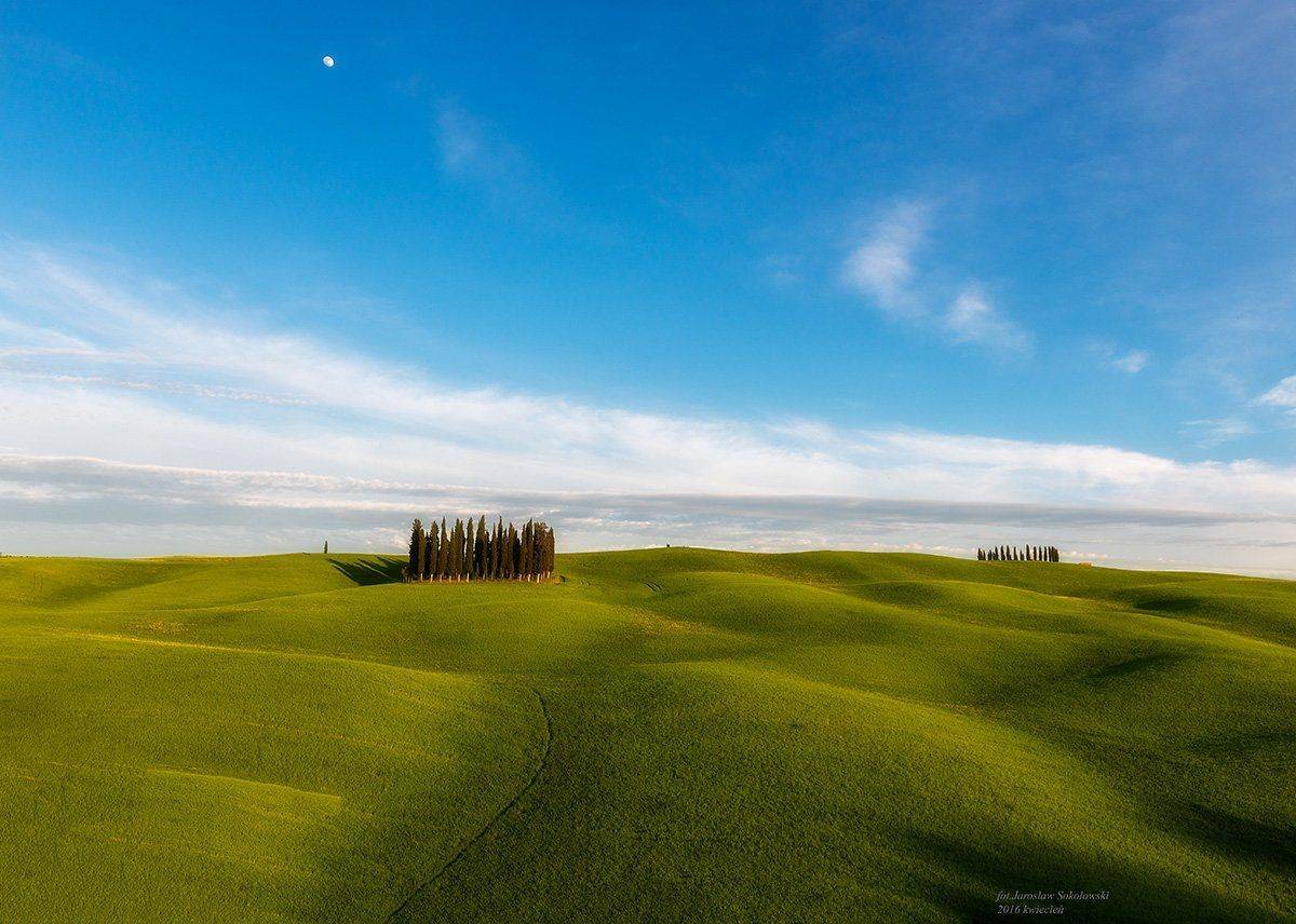 , Jarosław Sokołowski