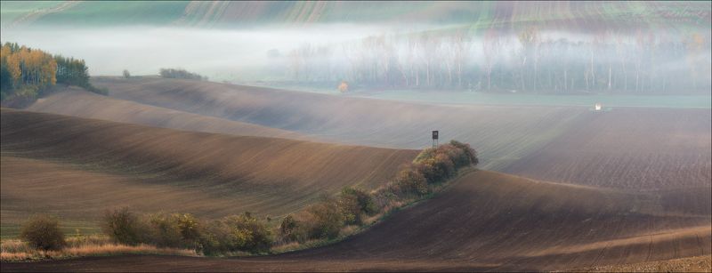 чехия, южная моравия,  осень, линии, свет, геометрия, south moravian, czech, chiaroscuro, туман, fog Утро на Мораве фото превью