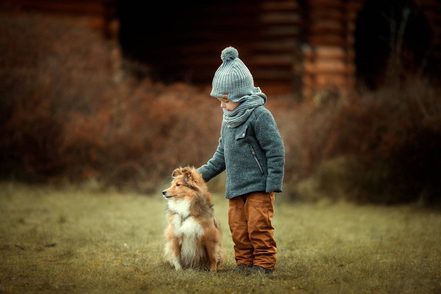 Мальчик, собака, друзья, осень, прогулка, Юлия Храпова
