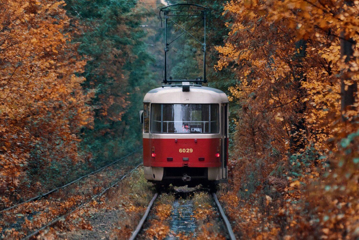, Юрий Юрьев