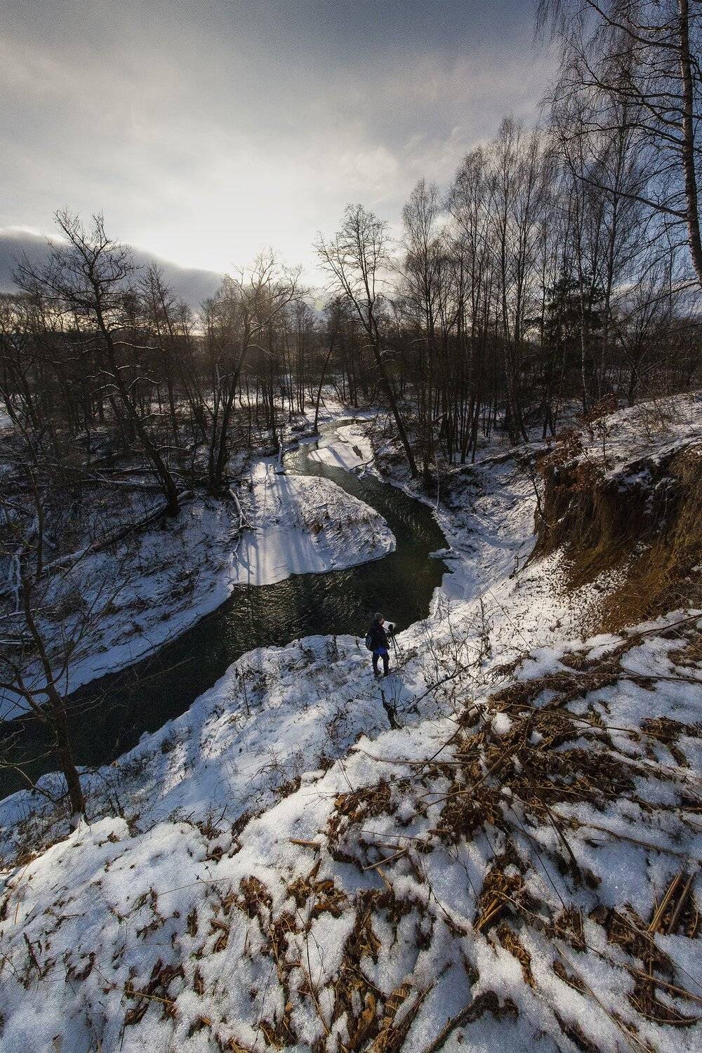 , Виталий Стрельцов