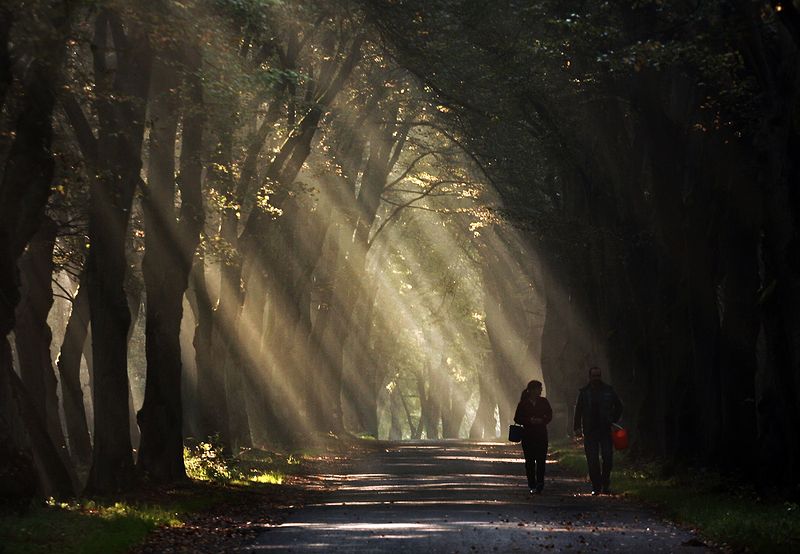 ... фото превью