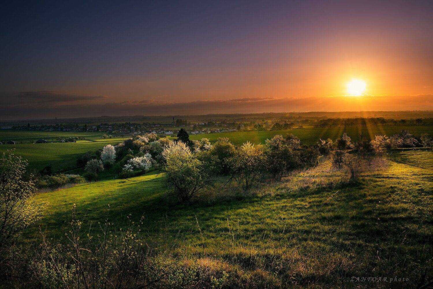 восход солнца, пейзаж,солнечные лучи, утро, поля, деревья, цветы, май, туман, zanfoar, чешская республика, nikon d7000,чехия, Zanfoar