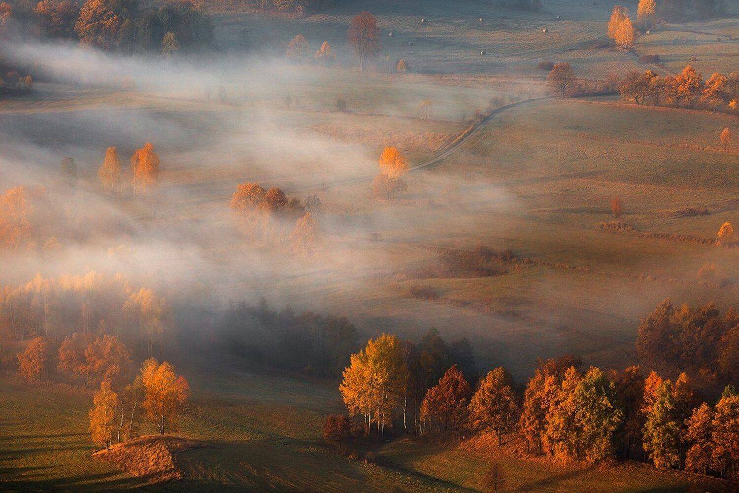 landscape,canon,mist,light,autumn, Iza i Darek Mitręga
