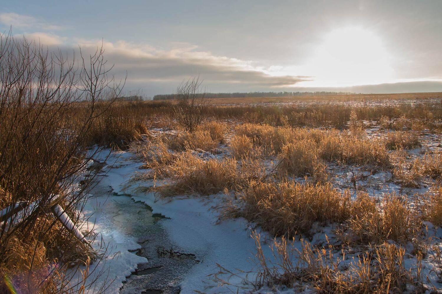 , Александр