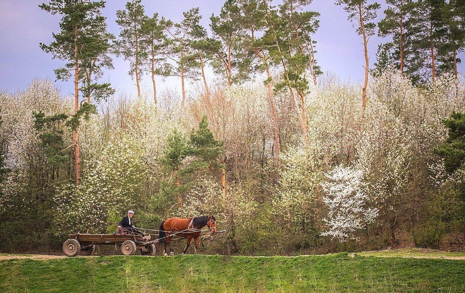 , Вячеслав Мищенко