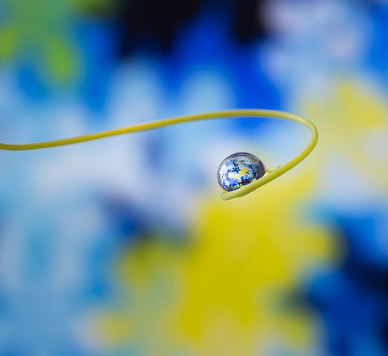 Отражение фото превью