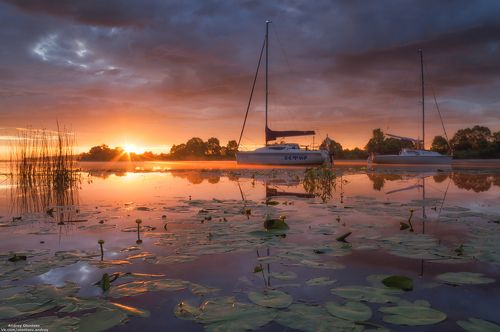 Утренний сценарий.