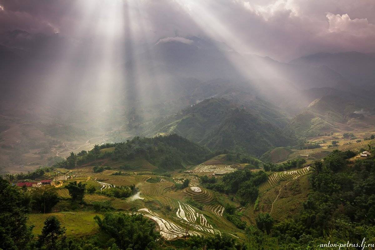 вьетнам, рис, закат, солнце, Антон Петрусь