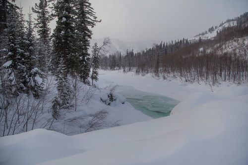 Горная Шория. Река Казыр