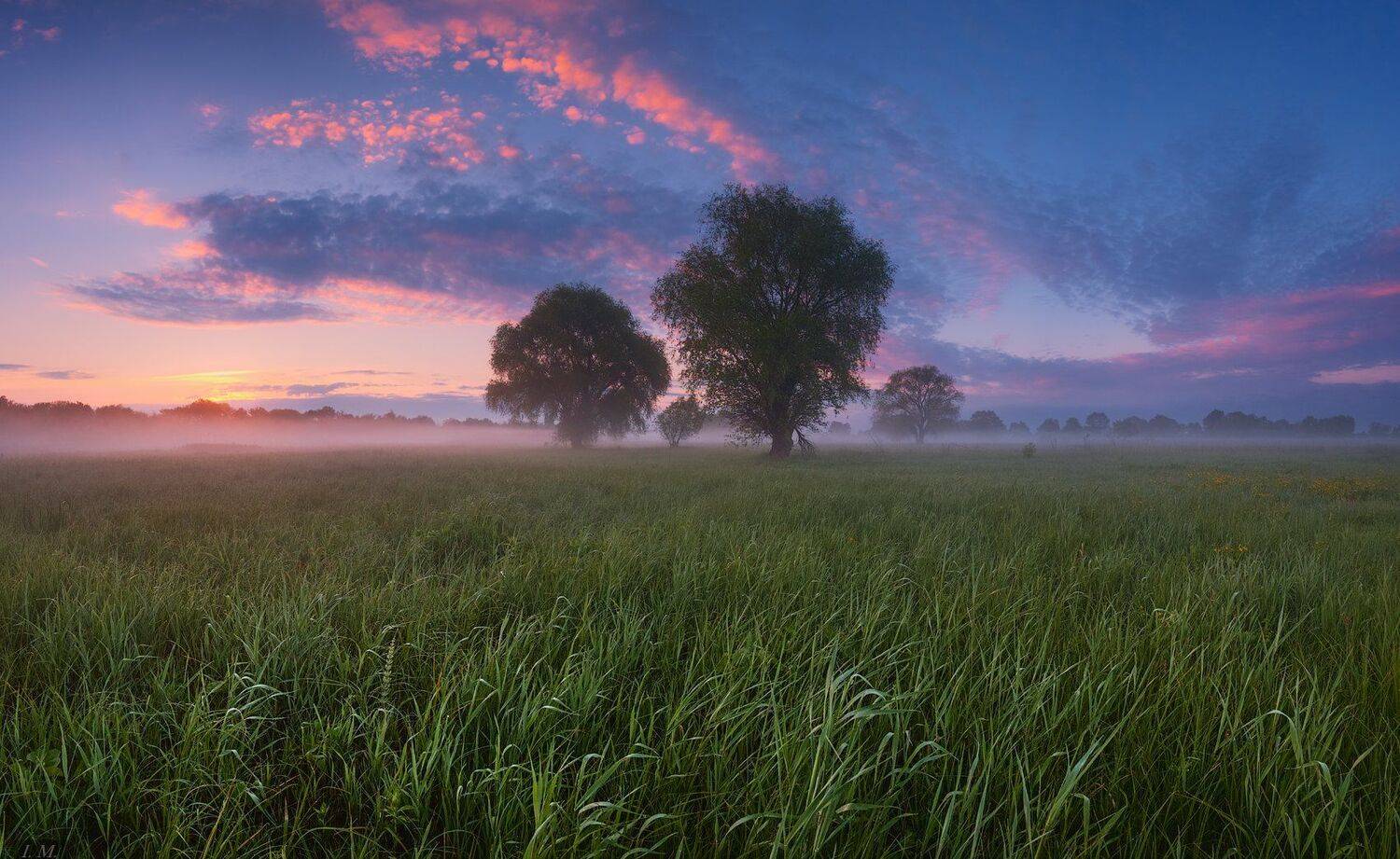 раннее, утро, рассвет, природа, луг, туман, весна, май, деревья, панорама, fog, early, morning, springtime, panorama, misty, foggy, dawn, colors, sky, red, clouds, nature, landscape, May, spring, Ivan Maljarenko