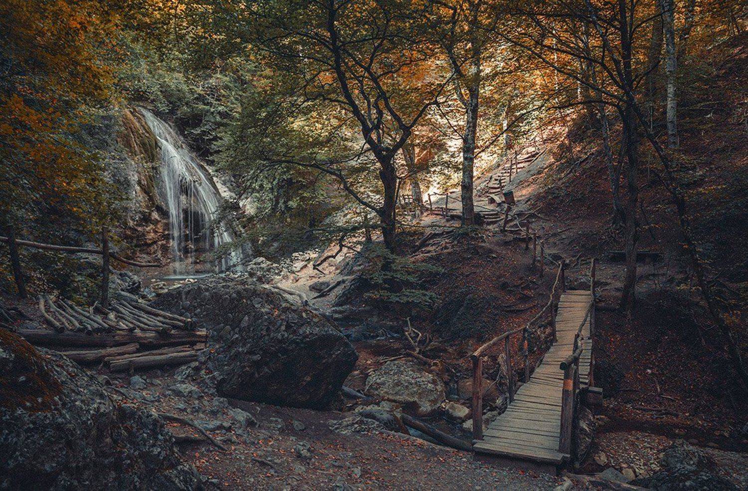 , Анатолий Зверев